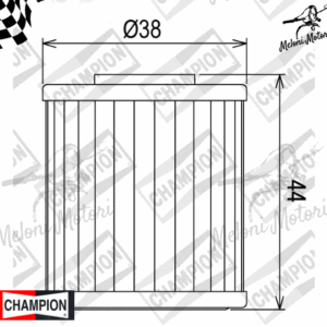 cof107 filtro olio champion beta evo 250 - evo 300